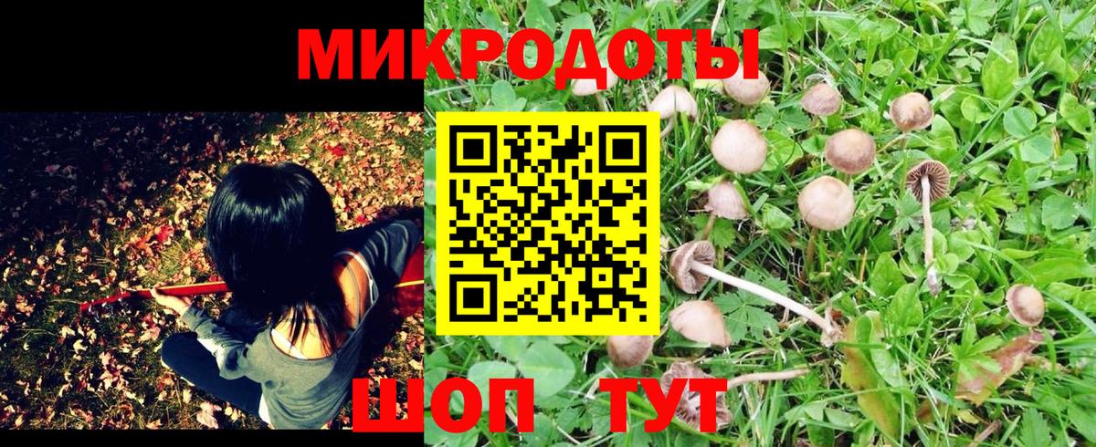 Псилоцибиновые грибы мицелий Новошахтинск
