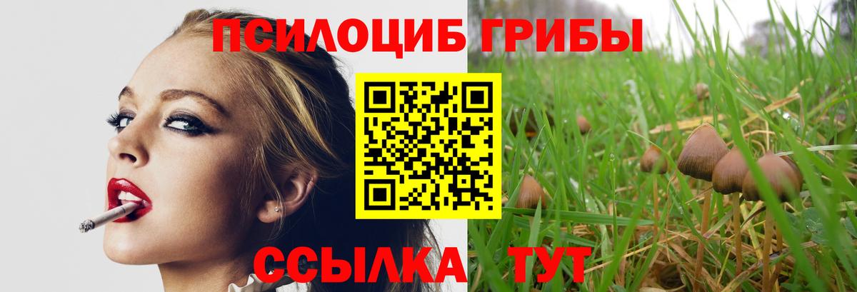 Псилоцибиновые грибы Psilocybe  как найти закладки  Вход с VPN  Новошахтинск  Псилоцибиновые грибы Magic Shrooms 